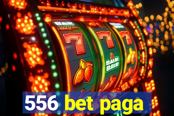 556 bet paga